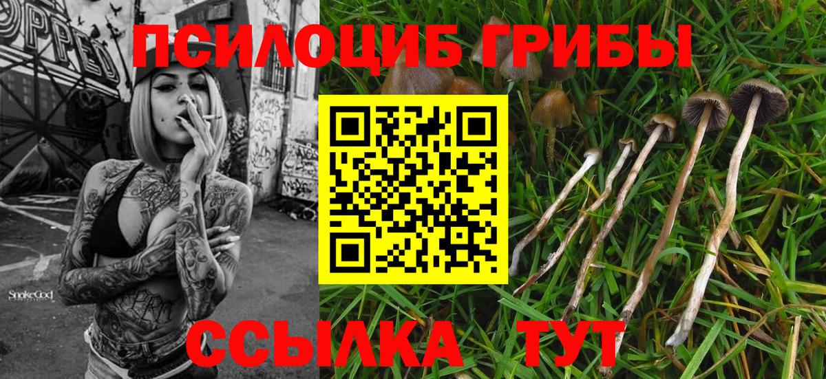 Псилоцибиновые грибы ЛСД  Вход с VPN  Северобайкальск 