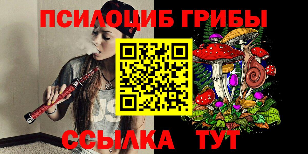 Псилоцибиновые грибы Psilocybine cubensis Северобайкальск